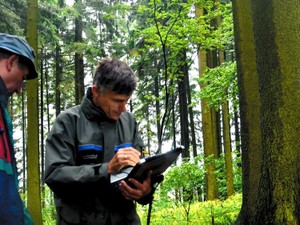 森が増える欧州　何が起きているのか