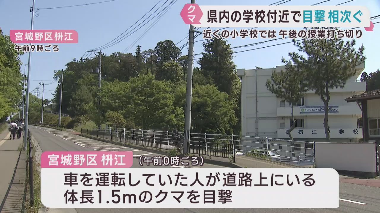 各地の学校近くでクマの目撃が相次ぐ　仙台市と宮城・気仙沼市