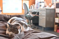 ケンジさん、実は会社勤めもしています