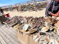 日本の乾物屋にも売られていそうな干物たち（ポルトピ提供）