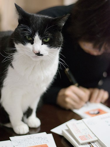 「年賀状に僕の写真が勝手に使われている。事務所通したのかな」（小林写函撮影）