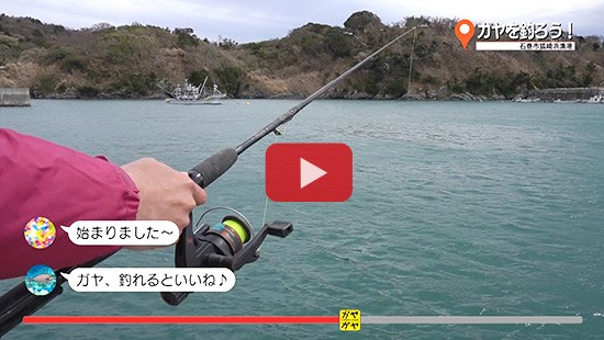 #302ガヤを釣ろう①