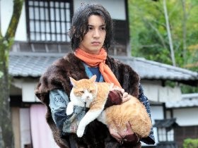 映画も猫ブーム　自由気ままな自然体で人気　出演依頼が続々