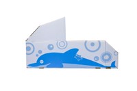 daddaイルカ図　FUJIDAN提供