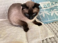 すねるとムスッとしながら固まり、斜め下を見て硬直