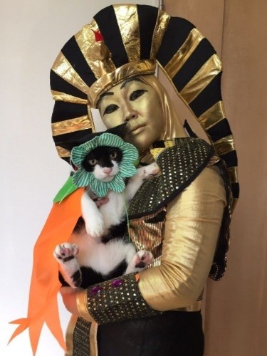 なぜ俺まで…やばい、ハマりそうだ