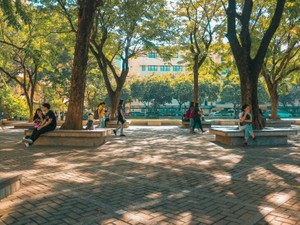 中学受験を諦め、学校に行かなくなった私が、大学を卒業するまで