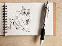 kaoruさんが描く猫のイラスト（画像提供：kaoruさん）