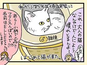 初猫エル、あれよあれよとメガ進化　やっぱ、猫じゃけぇ(27)