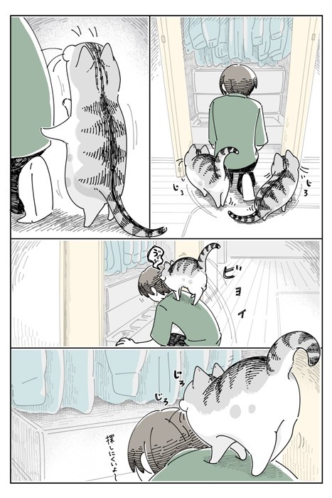 【漫画】「クローゼットを開くと見にくる」（提供：キュルZさん）