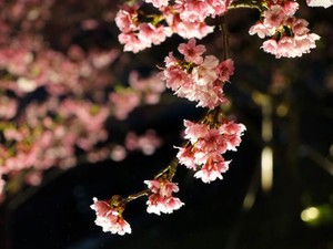 あの夜勇気を出して最後の悪あがきをしたから、今隣には彼がいる