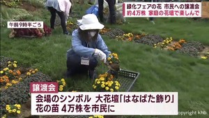 全国都市緑化フェアの花　家庭の花壇でも楽しんで　花の苗４万株の譲渡会　仙台