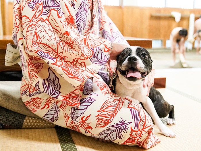 大きな手でなでてもらってリラックス