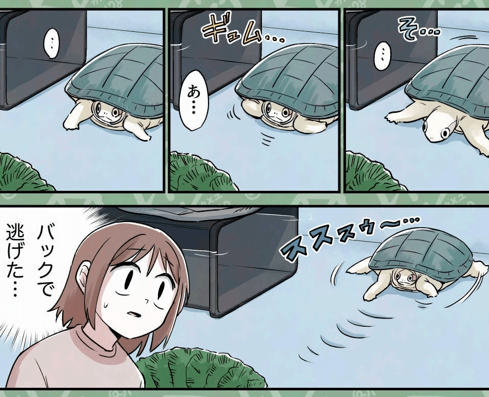 見た目で警戒心MAX（カメユさん提供）