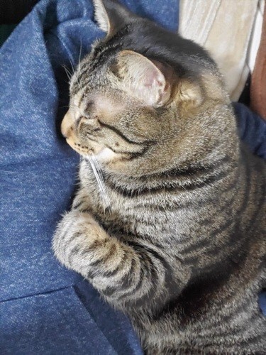 とにかく引っ付き虫だったはっぴー