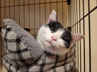 「ママ、なあに？」