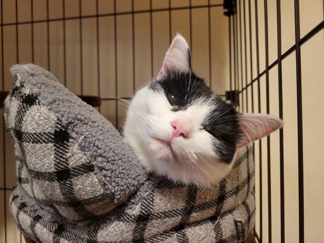 「ママ、なあに？」