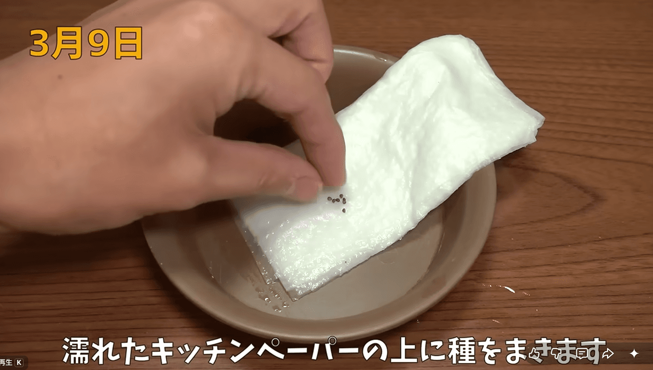 最初はキッチンペーパーで。手軽でいつでも始められる　画像提供：のりんごさん