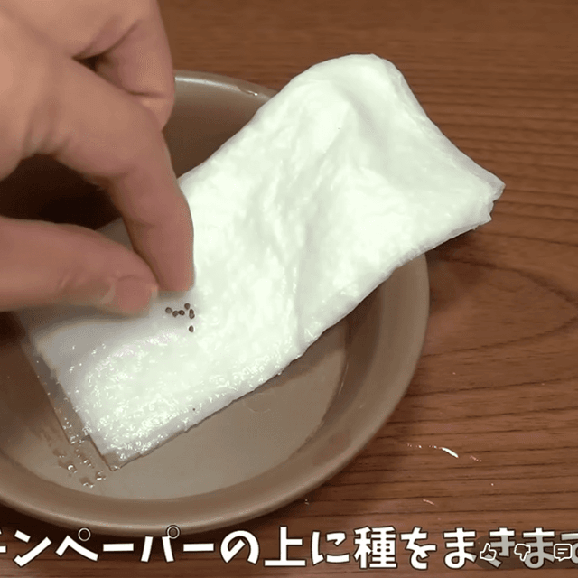 最初はキッチンペーパーで。手軽でいつでも始められる　画像提供：のりんごさん