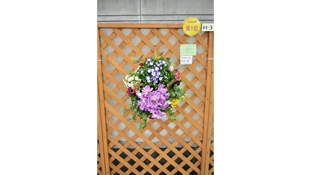 2025ハンギングバスケット人気投票第1位（香川県提供）