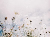 もし彼と結婚してたらと今でも考えてしまう。さよなら、大好きな人