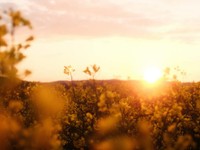 期待外れの短期留学。後悔だらけの日々のなかから見つけ出したもの