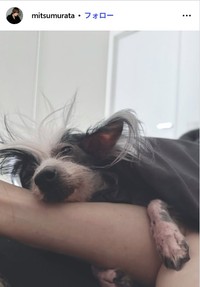 村田充のインスタグラム@mitsumurataより