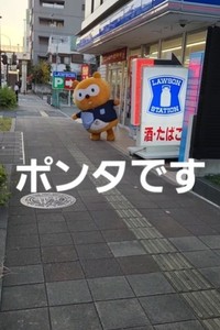 ポンタがいた！（こうたくんの飼い主さん提供、Instagramよりキャプチャ撮影）