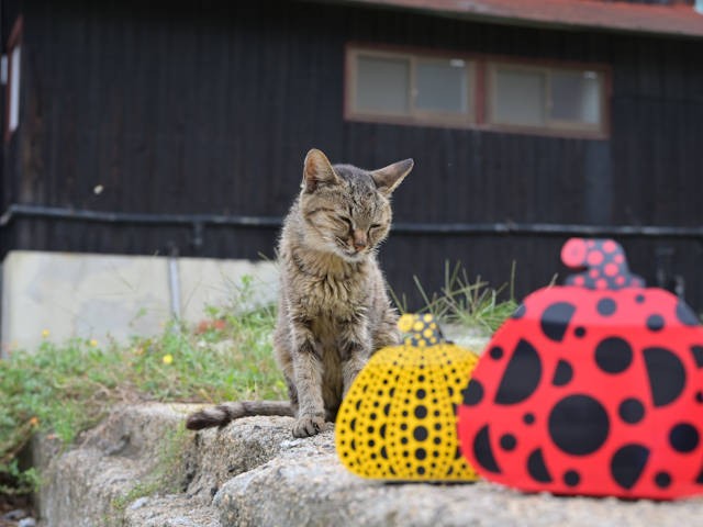 アートな直島は猫好きの見どころもたくさん バンクシーのような謎の猫シルエット絵も 犬 猫との幸せな暮らしのためのペット情報サイト Sippo