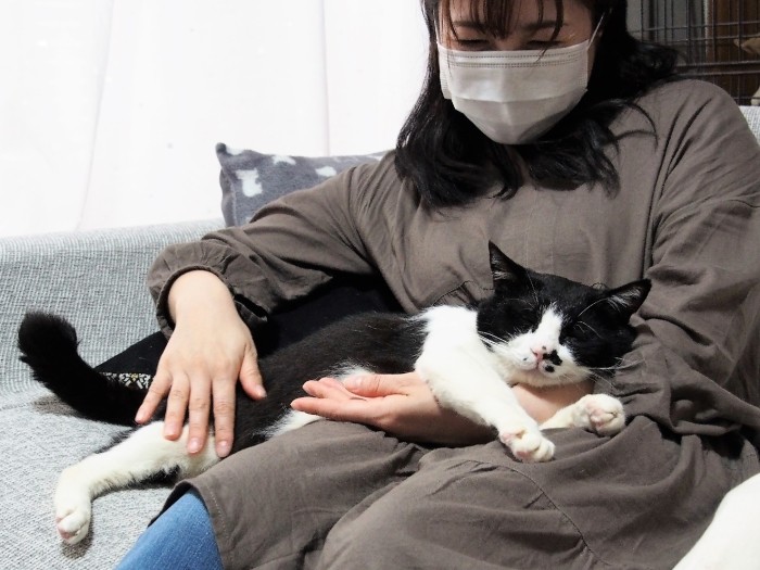 午後のまどろみ