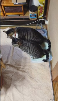 きゅうちゃんと粒ちゃんの懐かしのトイレショット（「きゅう粒」さん提供、Instagramよりキャプチャ撮影）