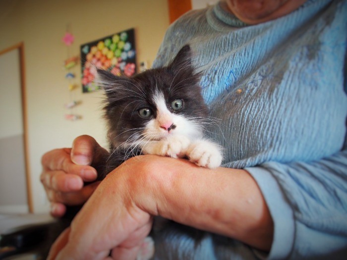 誰に抱かれてもおとなしくしている福丸。