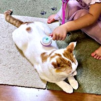 「ほねが…」驚きの診察結果を受けたむぎくん。その真相は！？（画像提供：むぎさん）