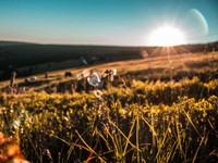 「完璧を求めない」は今を受け入れる柔軟な生き方。諦めなんかじゃない