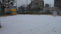 岡山市中心部の公園には雪がうっすらと