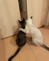 何やら興味津々＝meifu_waさん提供