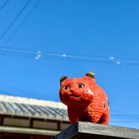 真っ赤で可愛い「ねこべこ」さん（画像提供：花房さくらさん　※画像を一部トリミング）