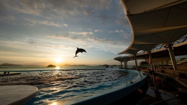 夜の水族館を会場に大規模な恋活イベント　5月23日開催　香川・宇多津町