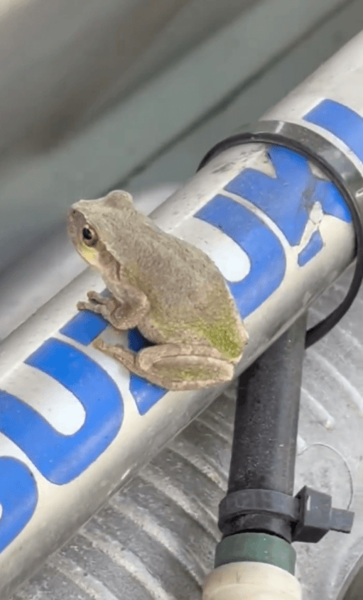 見つけてもらえてよかった