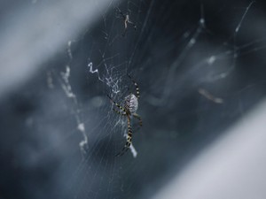 【厳選】「あんたなんか産まなきゃ良かった」親に言われた呪いの言葉からの卒業5選