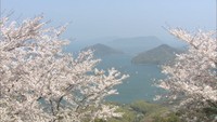 【資料画像】紫雲出山