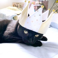 2歳の誕生日を迎えたときのアサトくん（画像提供：ゆきのさん）
