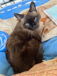 痩せてきても目に光が宿っていた＝turyさん（@tury21702354）提供