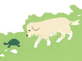 犬・猫とずっと長く幸せに暮らすため、飼い主にできること