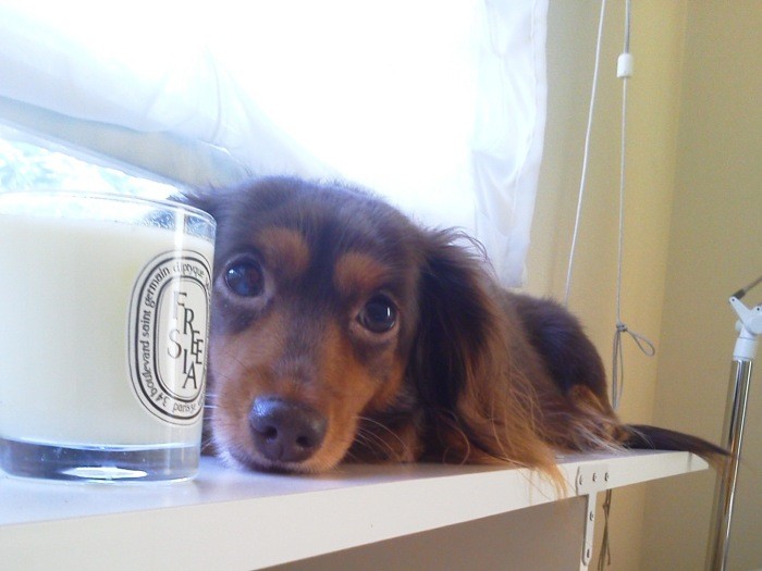 おとなしくて、優しい女の子だったクレアちゃん