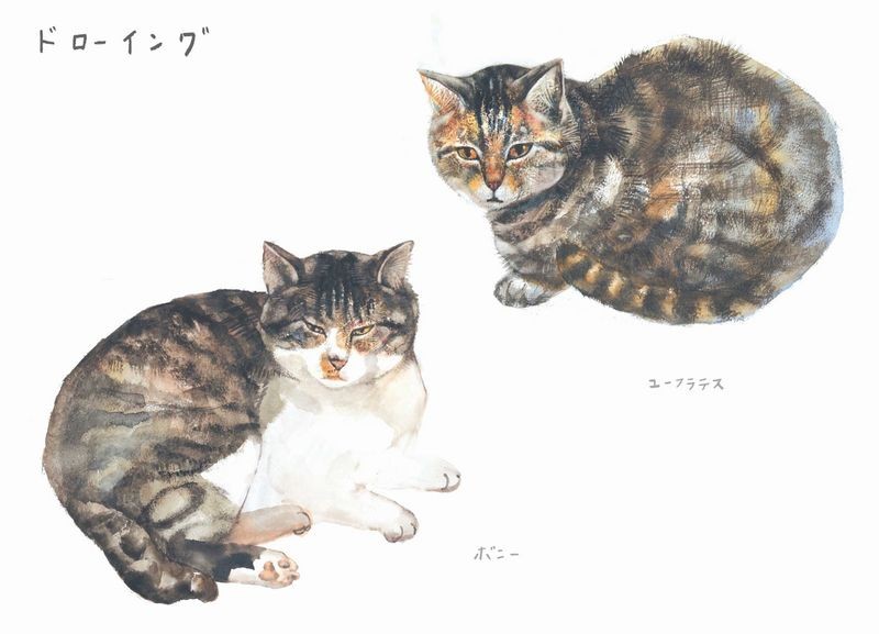 相島のボニーとユーフラテスのドローイング　（辰巳出版）