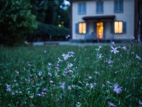 我が家に落ちた小さな衝撃。父も私も知らなかった頃には戻れない