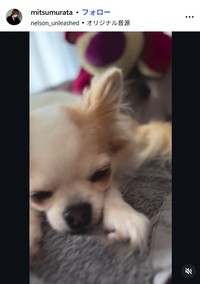 村田充のインスタグラム@mitsumurataより