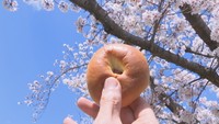4月4日は「あんぱんの日」