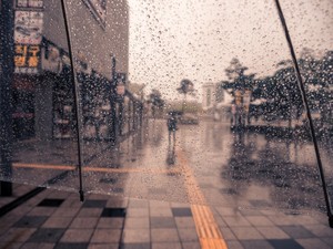 いっそ秘密にしておきたい。わたしだけが知る、雨の日の楽しみ方